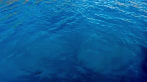 Sea (2K)