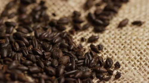 dose rotativa de cevada e outros ingredientes de fabricação de cerveja - BEER BREWING