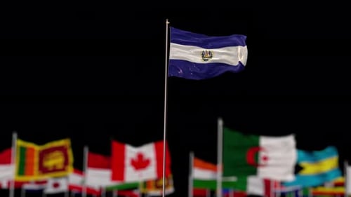 Collection of Waving National Flags with Focused Flag Reveal
