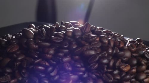 Roasted Coffee Beans Piled Up in Close Up