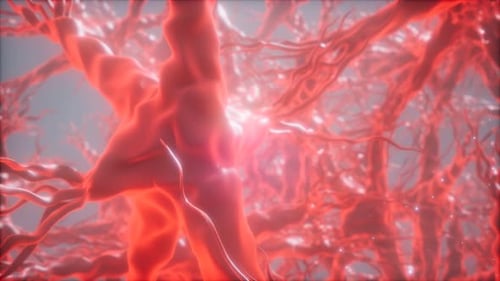 Journey Through a Neuron Cell Network Inside the Brain
