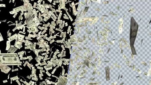 Realistic Falling US Dollar Bills Motion Graphic Loop