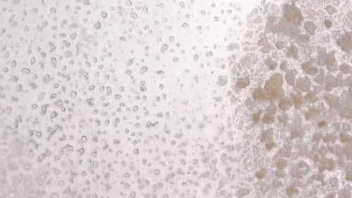 Clean Saline Pattern Texture. Large Salt Lake. Big Saline. Aerial Drone Top Down View.