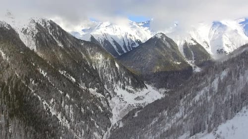 Fly Over a Magnificent Snowy Wooded Valley
