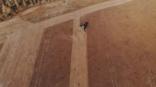 A Combine Harvests Crop in Field