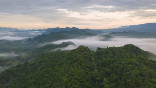 Aerial view Beautiful of morning scenery Golden light sunrise And the fog.
