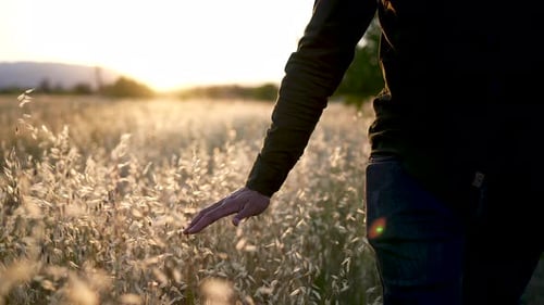 Natur