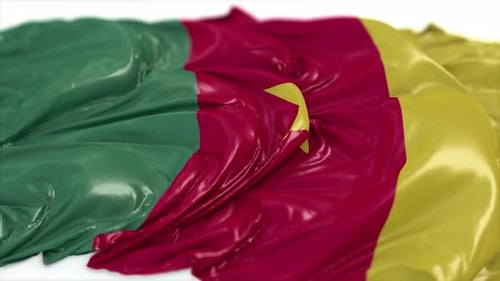 Cameroon Flag On A White Floor