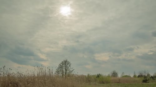 Wolken bewegen sich sehr schnell, Lichtstrahlen bahnen sich ihren Weg durch Wolken, Gras und Bäume, Wind weht
