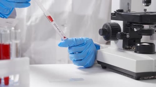 A Scientist in the Laboratory Uses a Microscope To Study a Blood Test