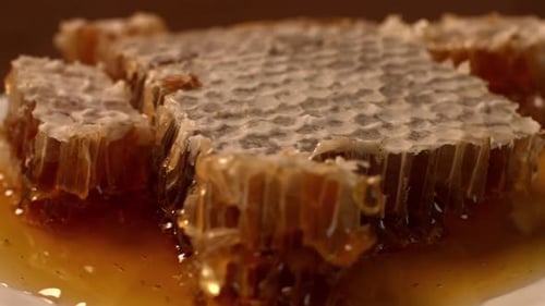Honeycomb