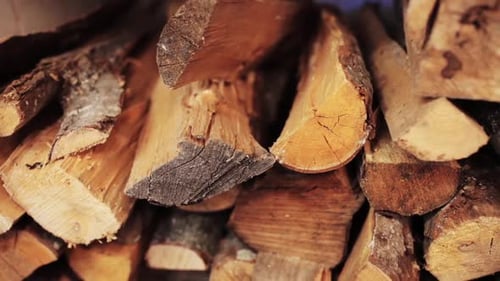 Stack of Firewood 13
