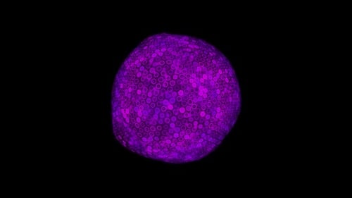 Purple Pulsating Hexagon Grid Sphere Abstract Animation