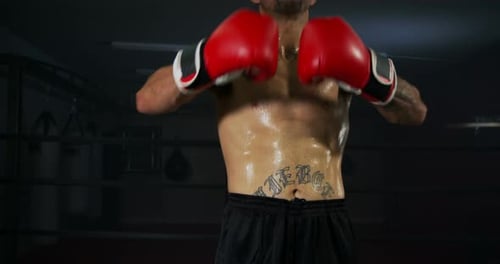 Muscular Boxer Standing in the Ring