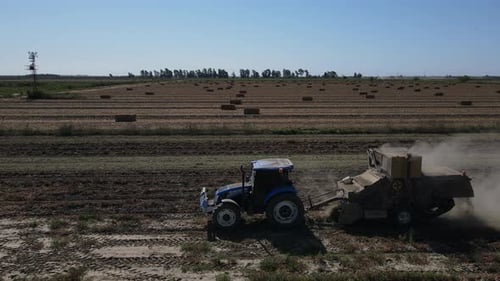 Standbild des Traktors, der Erdnüsse durch Graben des Bodens sammelt