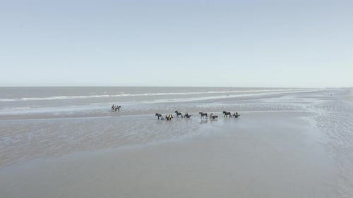 Luftaufnahme von Personen, die auf einem Pferd reiten, Vlaanderen, Belgien.