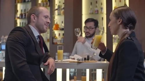 Business Colleagues Talking at the Bar in Hotel