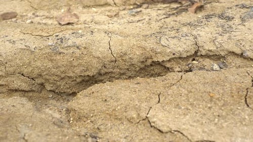 Cracked Dry Earth Close Up Pan
