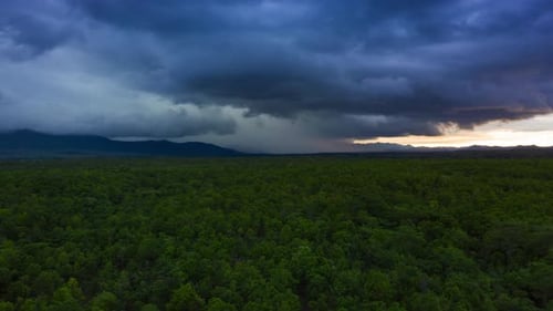 Aerial View of Green Forest Under Stormy Sky