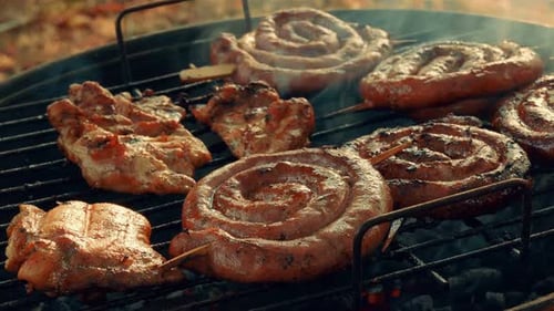 Close-up Barbecue (BBQ) Shot Showing Pork, Beef, Poultry and Chicken Meat