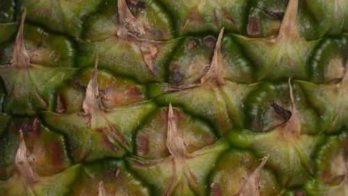 Extreme Close-Up of Fresh Pineapple Skin