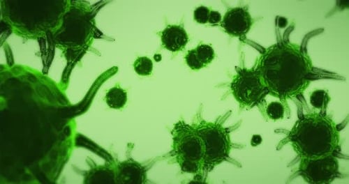 Dynamic Animated Microscopic Green Cells for Medical Science