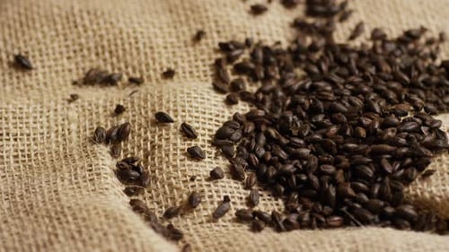 Tiro rotativo de cevada e outros ingredientes de fabricação de cerveja