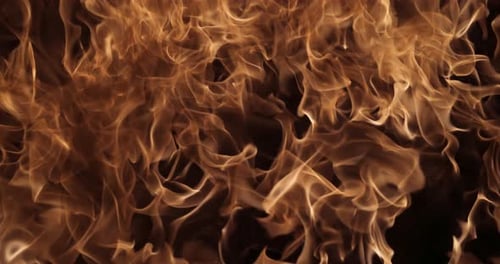 Close Up Fire Flames Flickering on Black Background