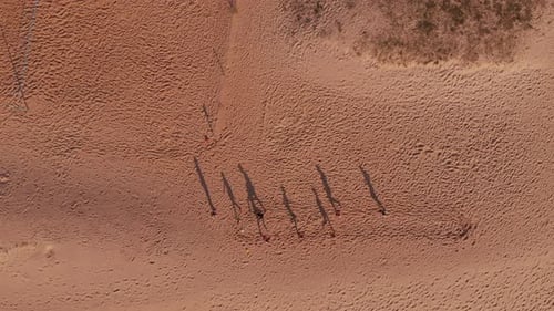 People running in circles on sand
