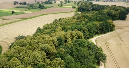 Aerial View of Farmland. Aerial View of Forest and Agriculture Fields