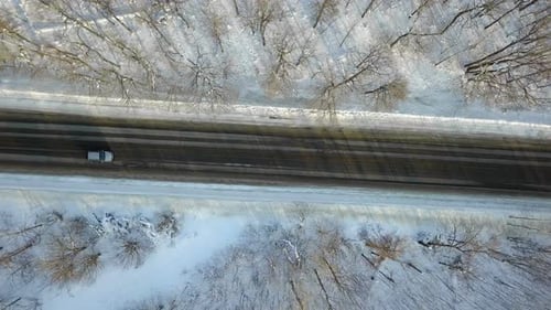 Car On Winter Forest Road