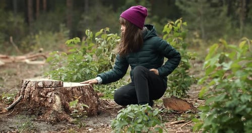 Compassion de l'arbre coupé