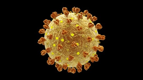 Microscopic View of a Rotating 3D Virus Particle