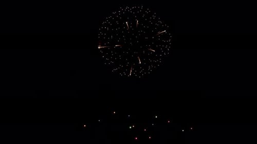 Festive Fireworks Bursting in the Night Sky