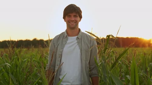 Smiling Farmer Standing in a Lush Cornfield at Sunset