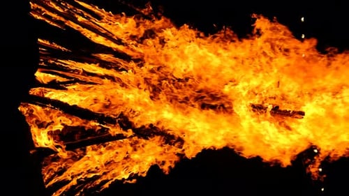 Vertikales Video Bonfire brennt nachts auf einem schwarzen Hintergrund auf der Natur
