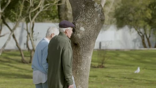 Happy Senior Couple Walking in Park on Sunny Autumn Day