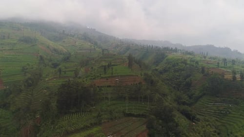 Aerial View of Terraced Farmland on Green Hills
