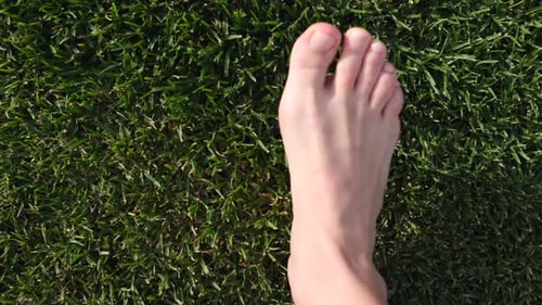 Woman Bare Foot Grass Walk