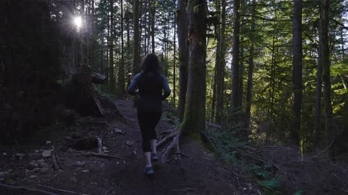 Caucasian Woman Trail Running in the Green Forest