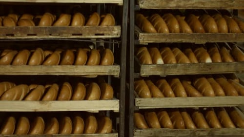 Bread on the Shelves.
