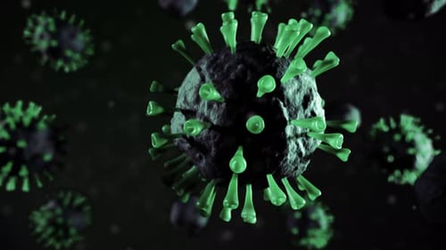 Realistic Deadly Virus Model