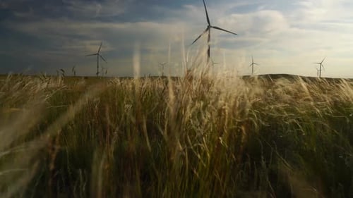 Motion the Blades of a Large Wind Turbine in a Field Against a Background of Cloudy Blue Sky with