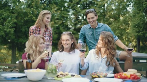 Friends Gathering Outdoors Making a Toast With Wine
