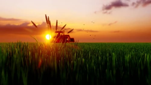 Tractor Working in the Field and Sunset View