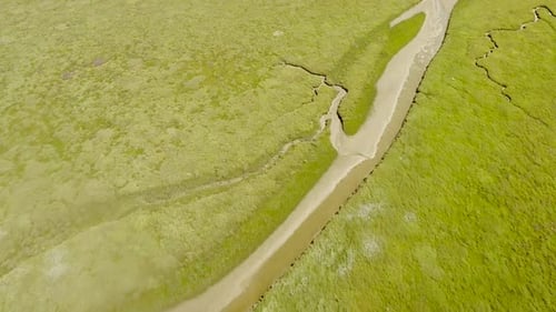 Abstract aerial view of wetlands landscape in the Netherlands.