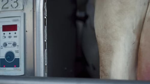 Dispositif du système de traite des vaches affichant des informations sur le processus de production