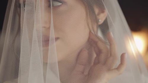 Elegant Bride with Veil Close Up