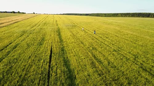 Mother And Son Walking On The Field. Happy mother with child son having fun outdoors in the field