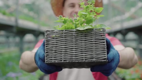 Smiling Man Holding Potted Plant in Greenhouse